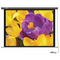 экран для проектора Cactus CS-PSPM-168X299