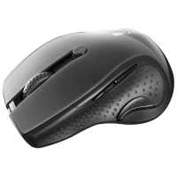 мышь Canyon MW-01 CNS-CMSW01B Черный