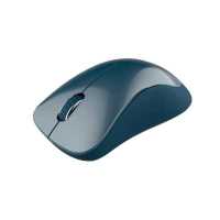 мышь Canyon Pixart MW-11 CNE-CMSW11BL Синий