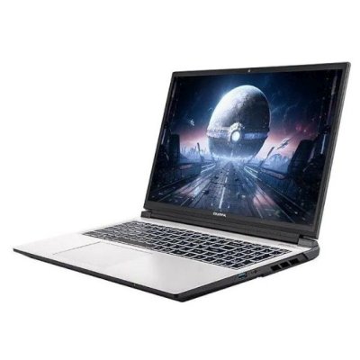 ноутбук Colorful EVOL X16 Pro-HP55F16512S-W-C2A A10207000009 Белый