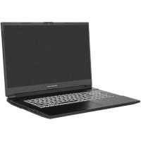 ноутбук Dream Machines RG3050-17RU26 Черный