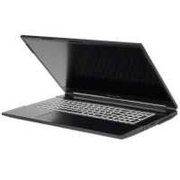 ноутбук Dream Machines RG3050-17RU26 Черный