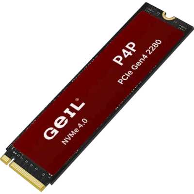 SSD диск GeIL P4P 2Tb P4PWK23C2TBA Черный