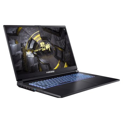 ноутбук Hasee G8R9 04HAG8R9-wpro Черный