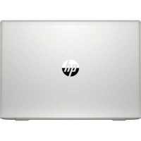 ноутбук HP ProBook 455R G6 8VT73EA Серебристый