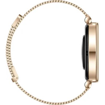 смарт часы Huawei Watch GT 4 41 mm Gold 55020BHW