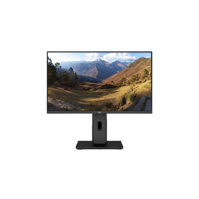 монитор ICL ViewRay 2413IFH Черный