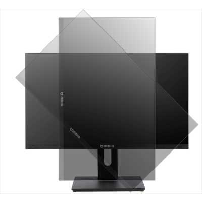 монитор Irbis SmartView ISM24FIDR_U Черный