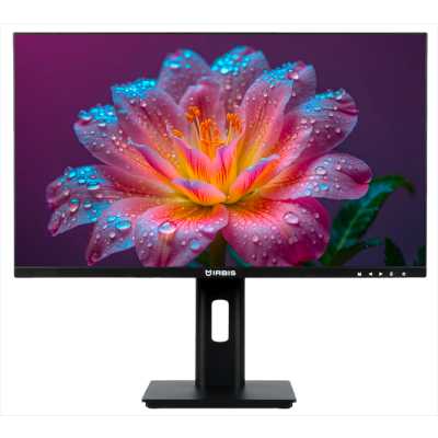 монитор Irbis SmartView ISM27FIDRVesa Черный