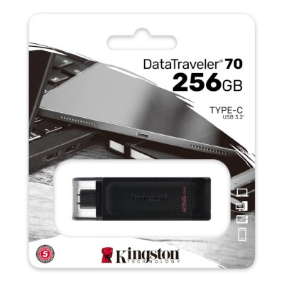флешка Kingston 256GB DT70/256GB Черный