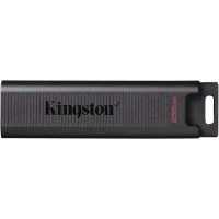 флешка Kingston 256GB DTMAX/256GB Черный