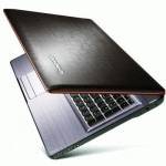 ноутбук Lenovo IdeaPad Y570A2 59312966 Коричневый