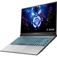 ноутбук Machenike L15C L15C-i512450H30504GF144LSMS0R1 Серебристый