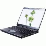 ноутбук MSI EX300-001