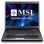 ноутбук MSI EX310-008