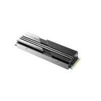 SSD диск Netac NV5000 2Tb NT01NV5000-2T0-E4X Черный