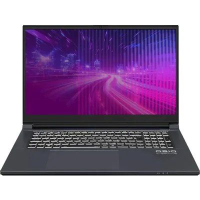 ноутбук OSiO CyberLine C170i-002-wpro Темно-Серый