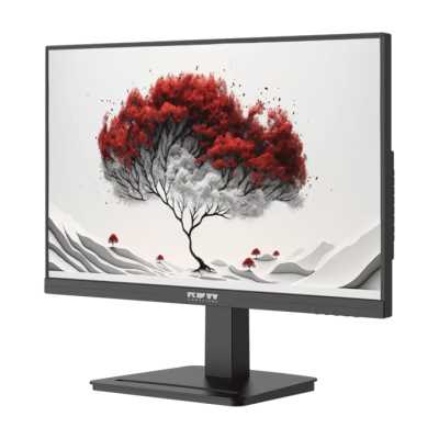 монитор RDW Computers 2401K/F00B3120V2A1 Черный