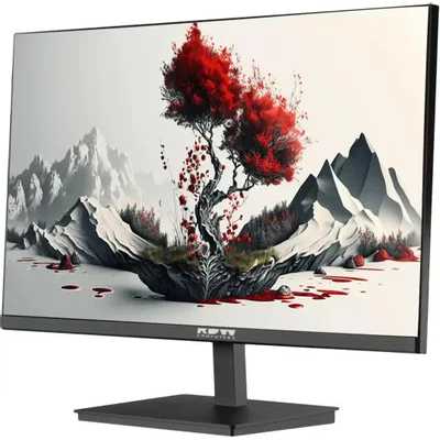 монитор RDW Computers 2401K/F00В3100V2A1H Черный