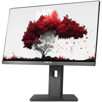 монитор RDW Computers RDW2402K/F13B360V2A1 Черный