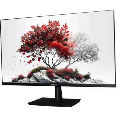 монитор RDW Computers RDW2701K/F00В3100V2A1 Черный