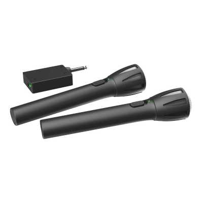 микрофон Ritmix RWM-302 Black Черный