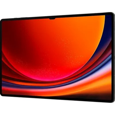 планшет Samsung Galaxy Tab S9 Ultra 5G SM-X916BZAACAU Серый