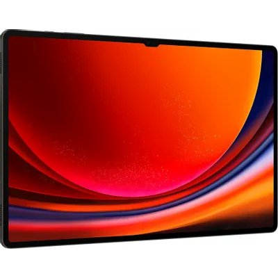 планшет Samsung Galaxy Tab S9 Ultra Wi-Fi SM-X910NZAACAU Графит