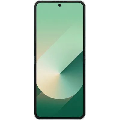 смартфон Samsung Galaxy Z Flip 6 12/256GB Mint SM-F741BLGGCAU мятный