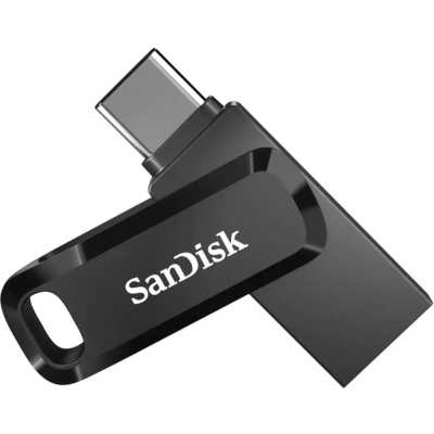 флешка SanDisk 1TB SDDDC3-1T00-G46 Черный
